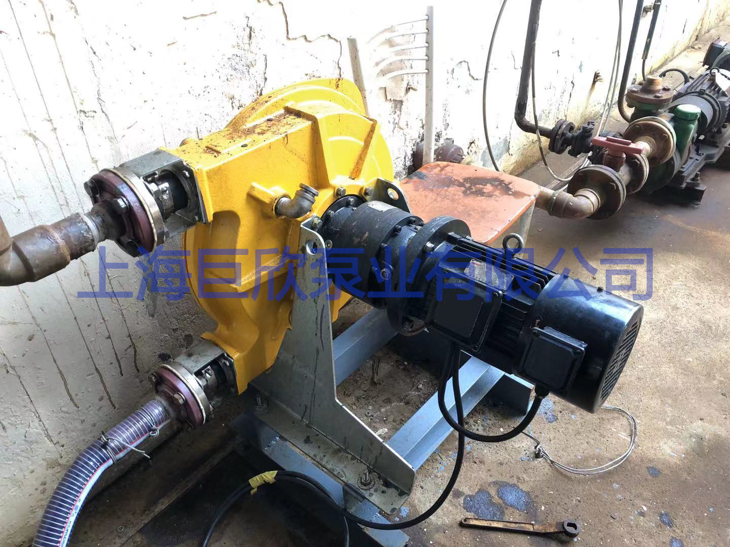 1583200067264468.jpg 2.jpg