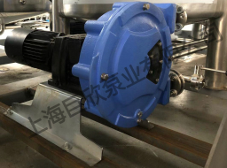 高壓離心機(jī)供料泵！